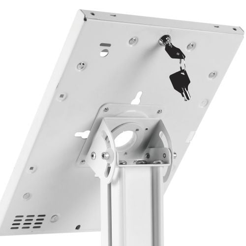 Wolff Mount TVB-138 Tablet-Schreibtischständer – Diebstahlsichere Kiosk-Halterung für iPad und Samsung Tablets
